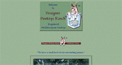 Desktop Screenshot of designerdonkeys.com